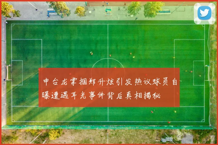 申台龙掌掴郑升炫引发热议球员自曝遭遇耳光事件背后真相揭秘