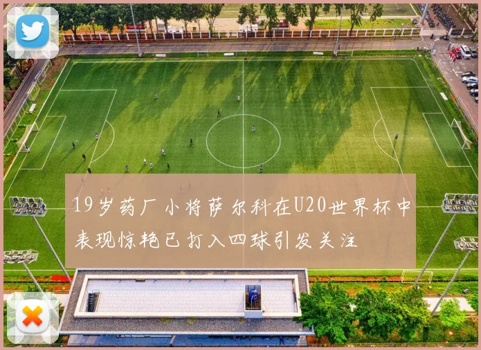 19岁药厂小将萨尔科在U20世界杯中表现惊艳已打入四球引发关注