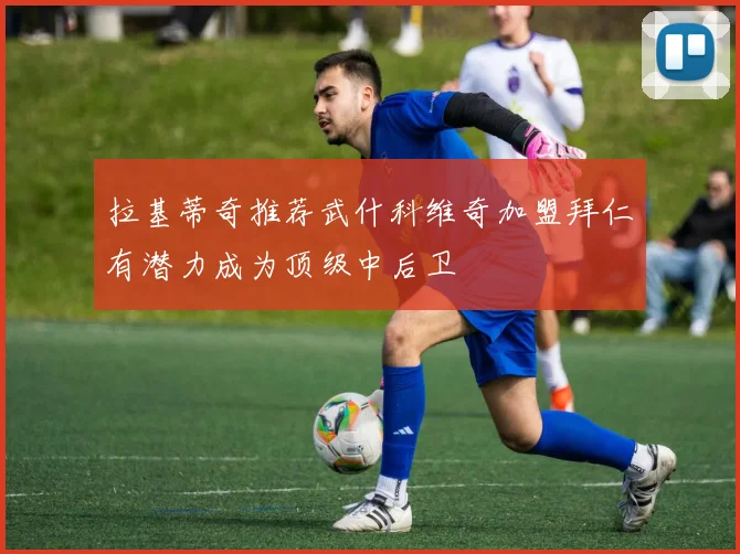 拉基蒂奇推荐武什科维奇加盟拜仁有潜力成为顶级中后卫