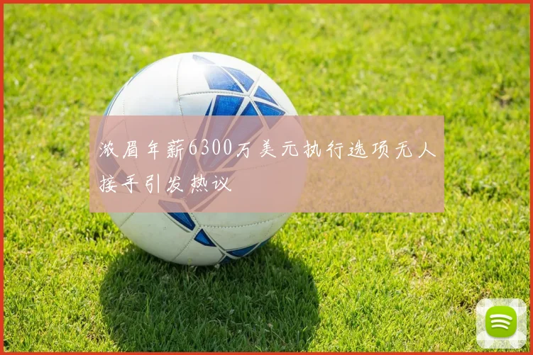浓眉年薪6300万美元执行选项无人接手引发热议