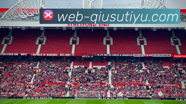 球速体育APP 封面图