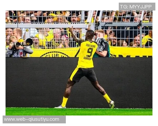 意媒报道弗拉霍维奇或因大腿肌腱受伤缺阵两个月以上